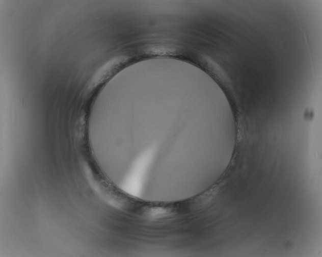 X0000112150163200909041112