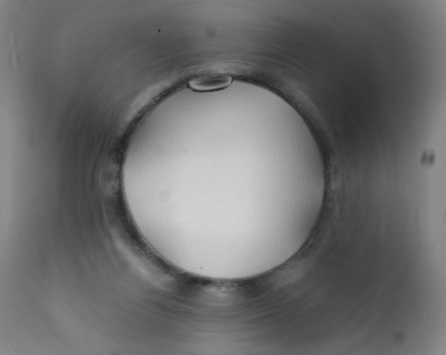 X0000112150164200909041112