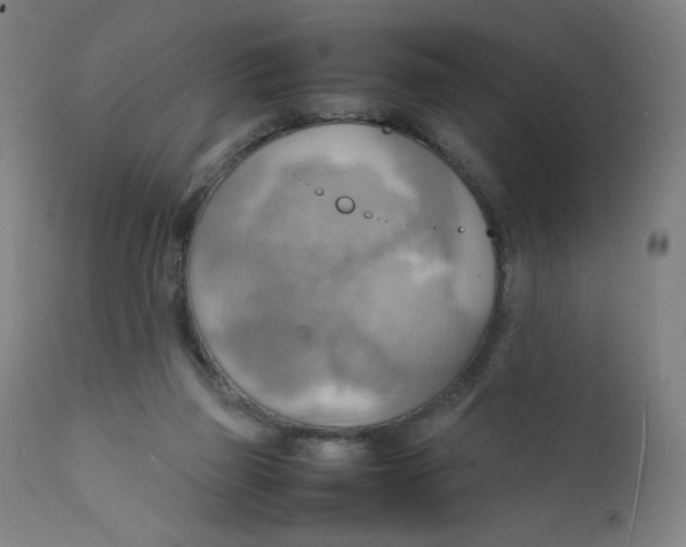 X0000112150165200909041112