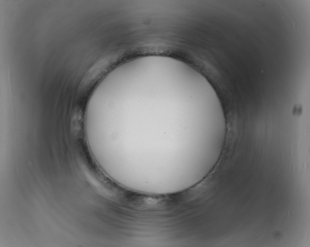 X0000112150166200909041112