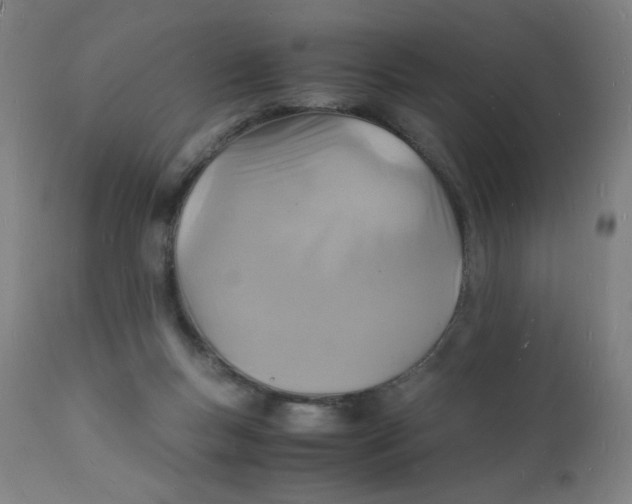 X0000112150167200909041112