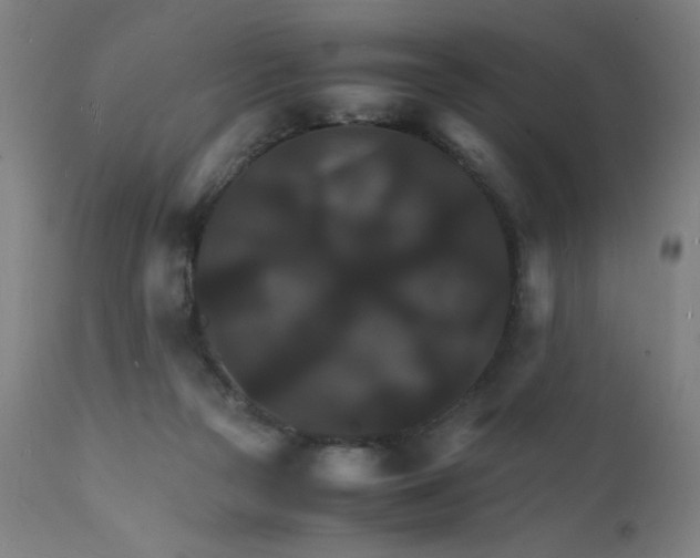 X0000112150169200909041112