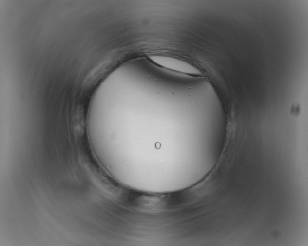 X0000112150170200909041112