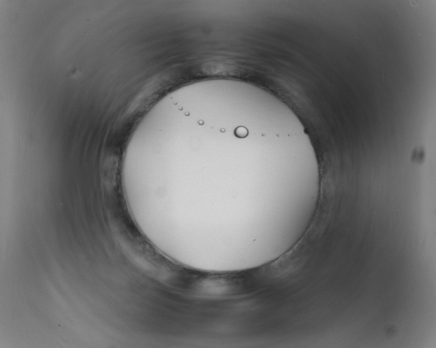 X0000112150171200909041112