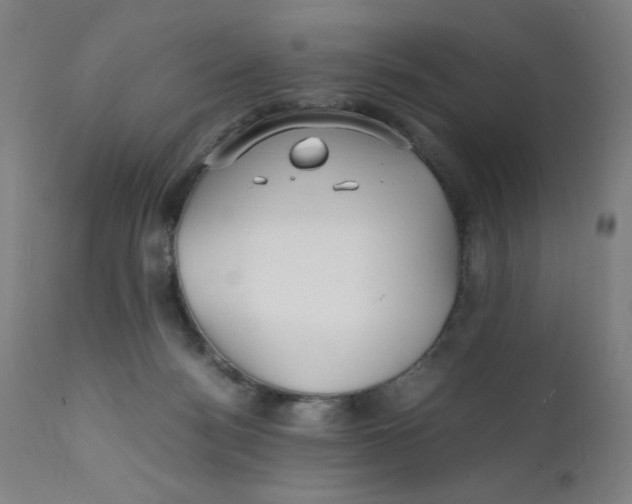 X0000112150172200909041112