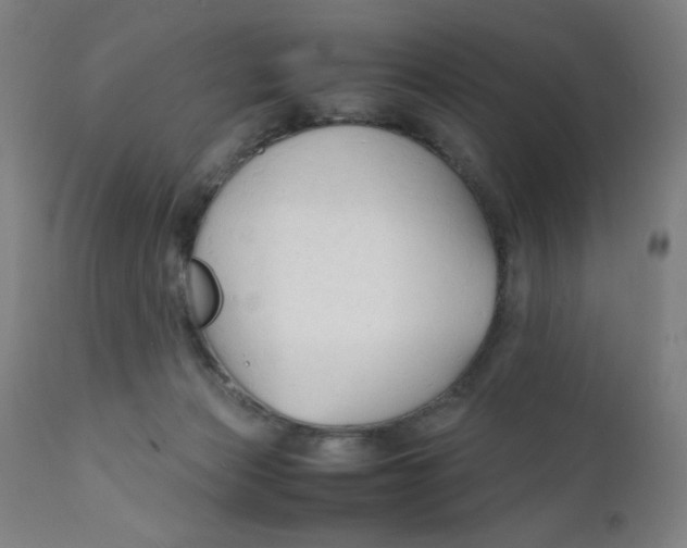 X0000112150173200909041112