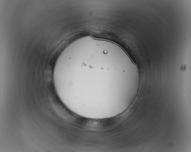 X0000112150174200909041112