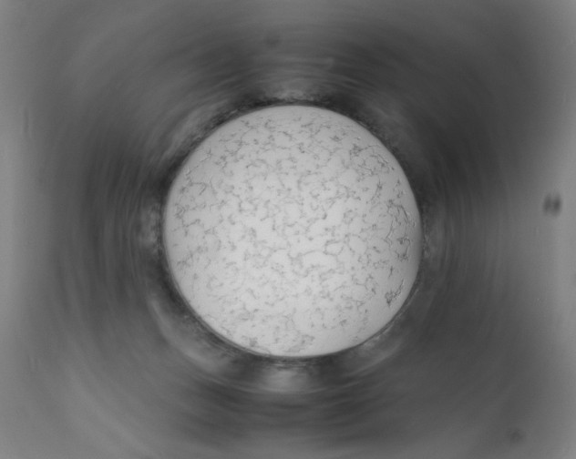 X0000112150175200909041112