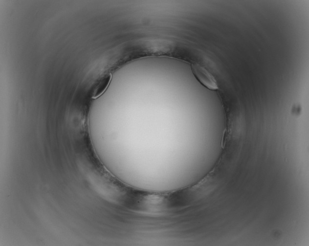 X0000112150176200909041112