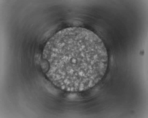 X0000112150177200909041112