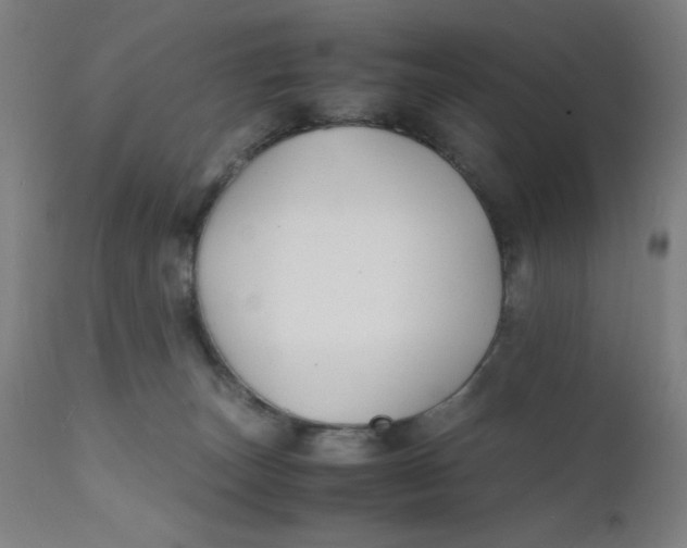 X0000112150179200909041112