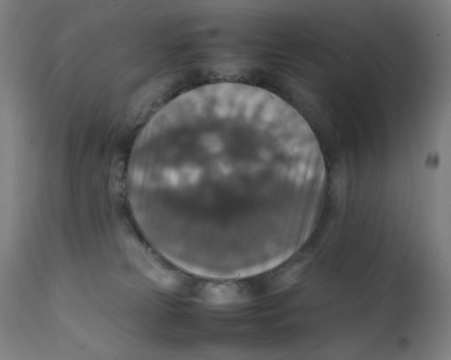 X0000112150181200909041112