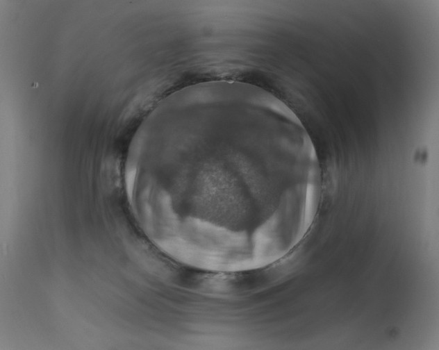 X0000112150182200909041112