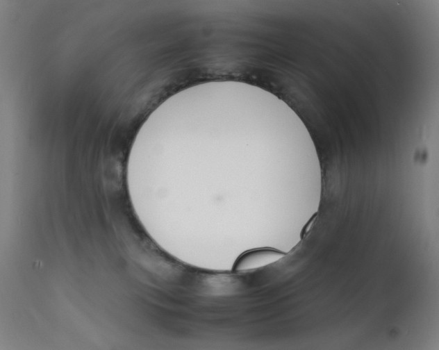 X0000112150183200909041112