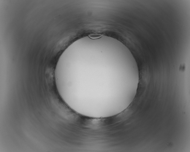 X0000112150184200909041112