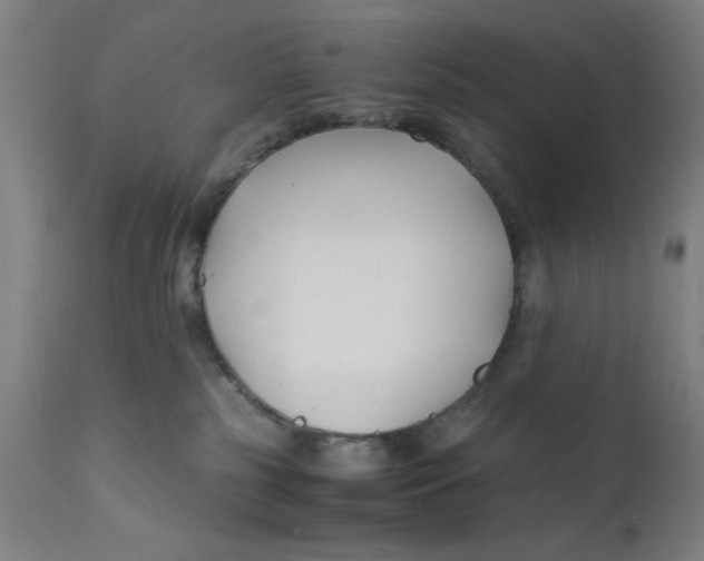 X0000112150185200909041112