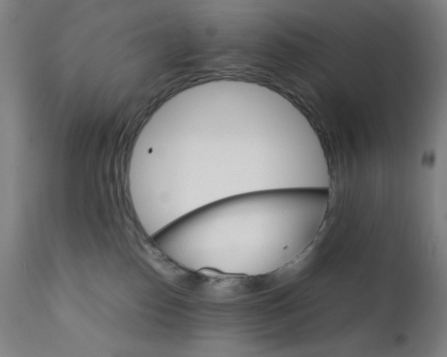 X0000112150186200909041112