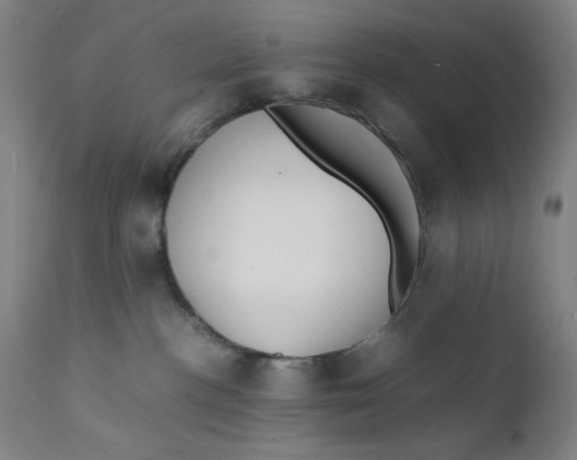 X0000112150188200909041112