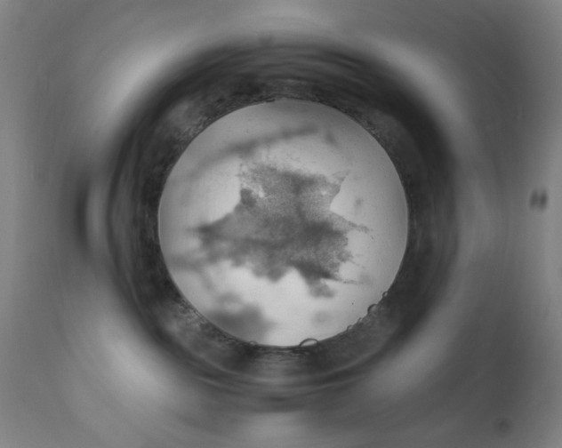 X0000112150189200909041112