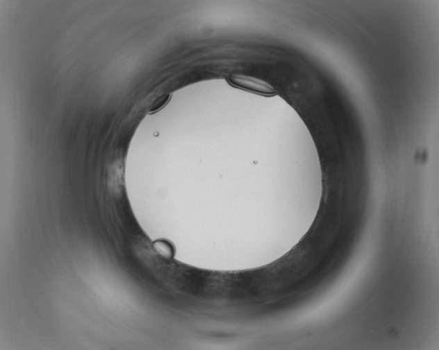 X0000112150190200909041112