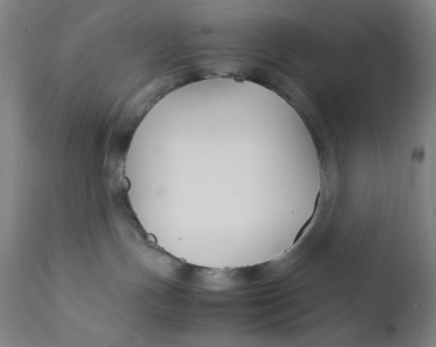 X0000112150191200909041112