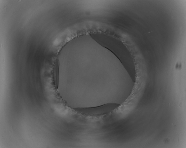 X0000112150192200909041112