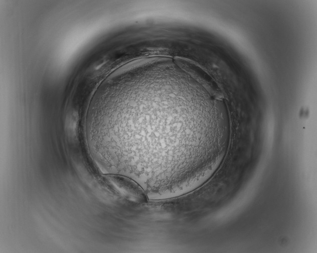 X0000112150194200909041111