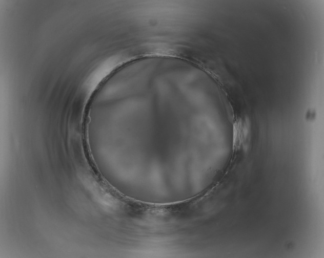 X0000112150195200909041111