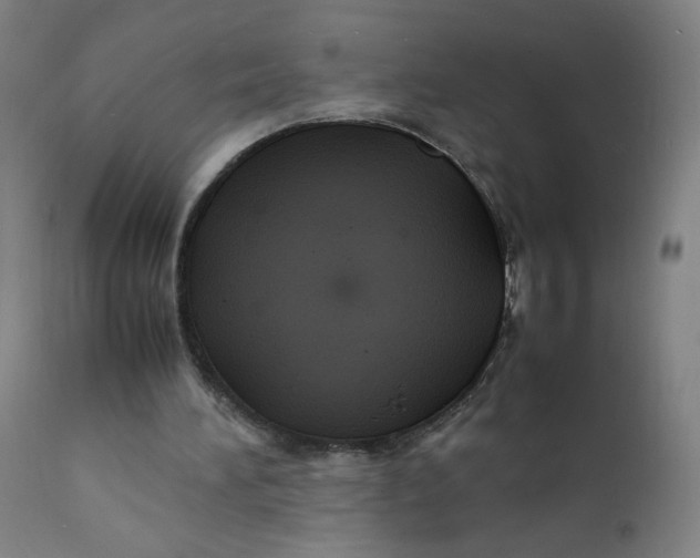 X0000112150196200909041111