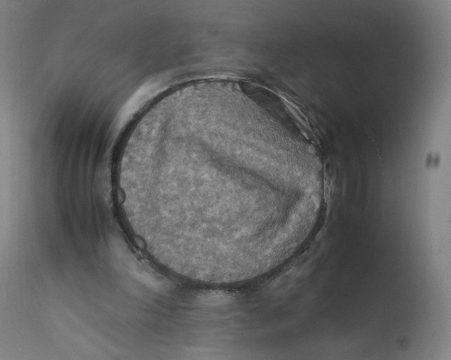 X0000112150198200909041111