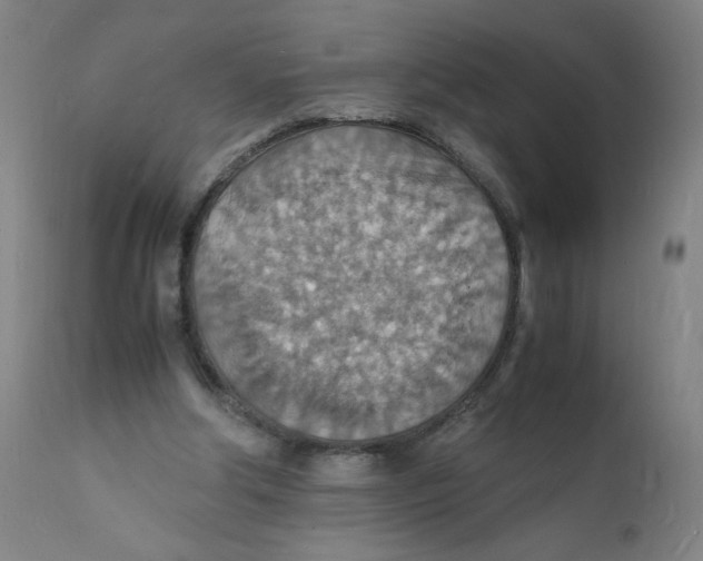 X0000112150202200909041111