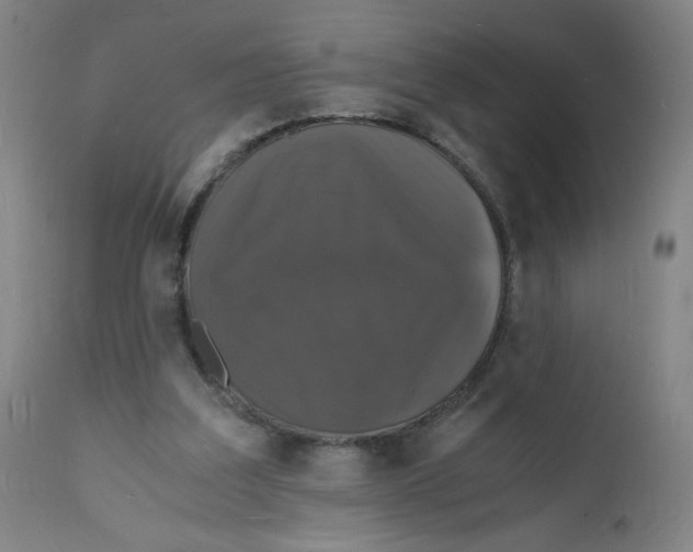 X0000112150203200909041111