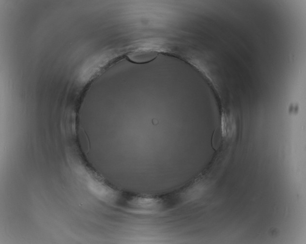 X0000112150205200909041111