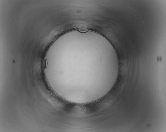 X0000112150207200909041111