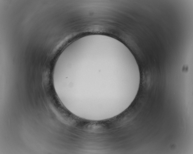 X0000112150208200909041111