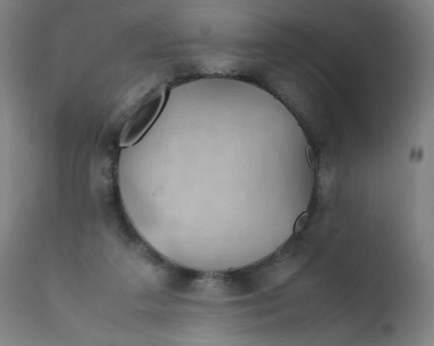 X0000112150211200909041111