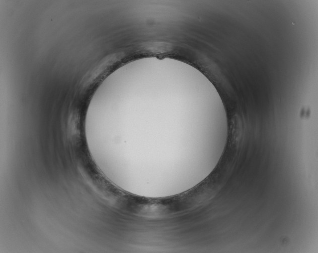 X0000112150212200909041111