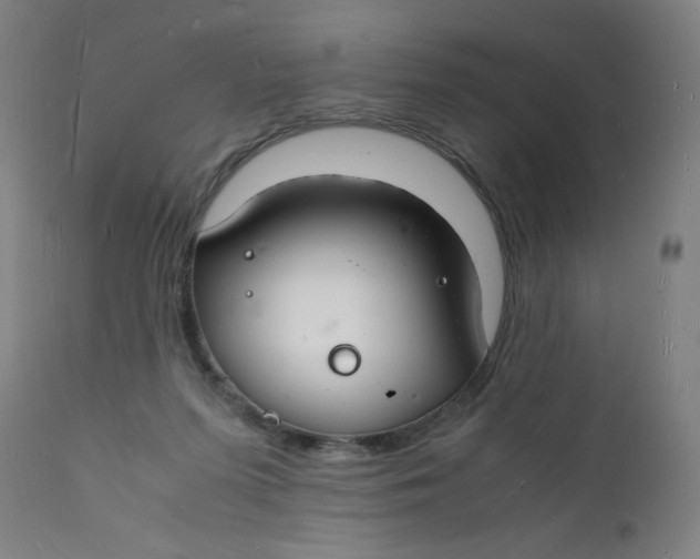 X0000112150215200909041111