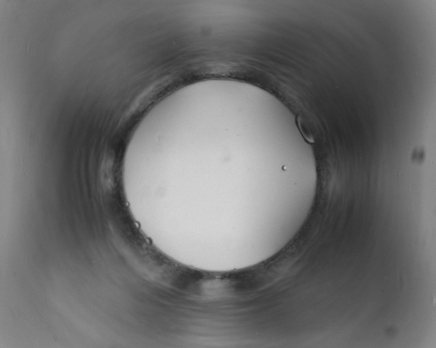 X0000112150216200909041111