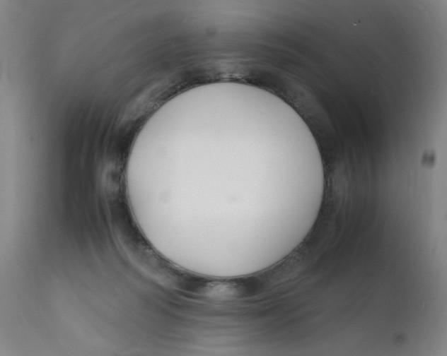 X0000112150218200909041111