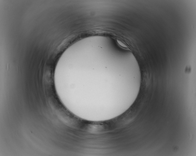 X0000112150220200909041111