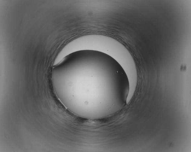 X0000112150221200909041111