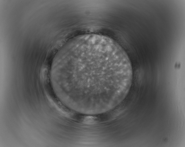 X0000112150222200909041111