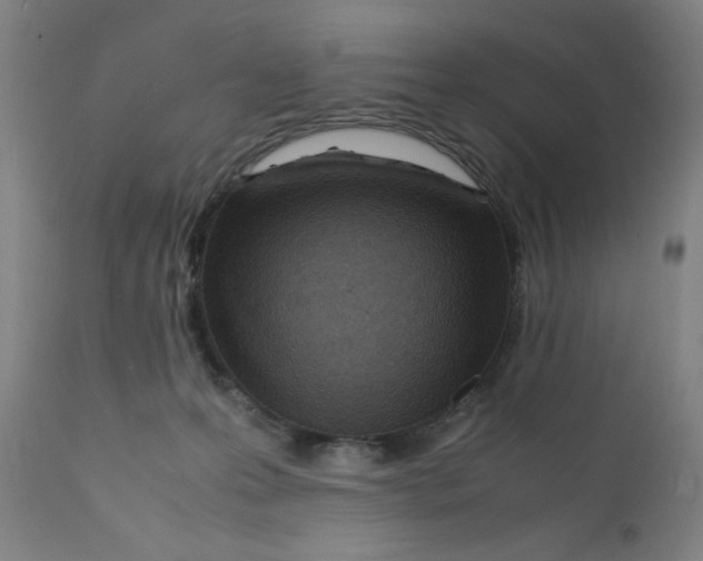 X0000112150223200909041111