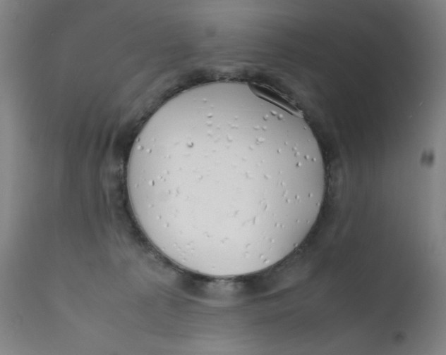 X0000112150225200909041111