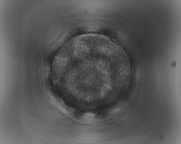 X0000112150227200909041111