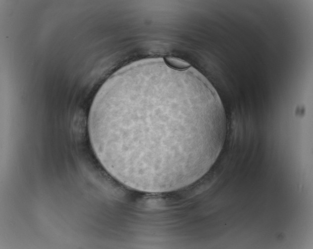 X0000112150228200909041111