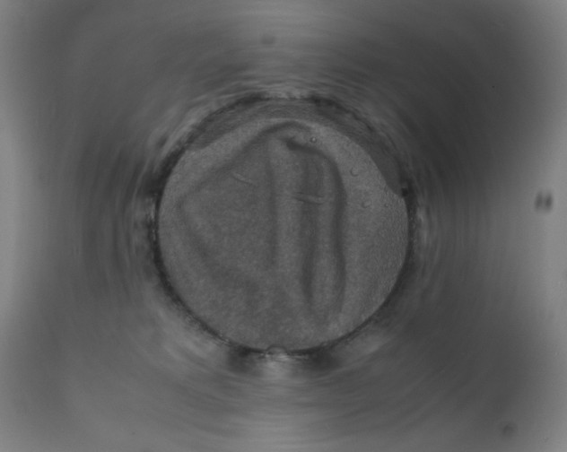 X0000112150229200909041111