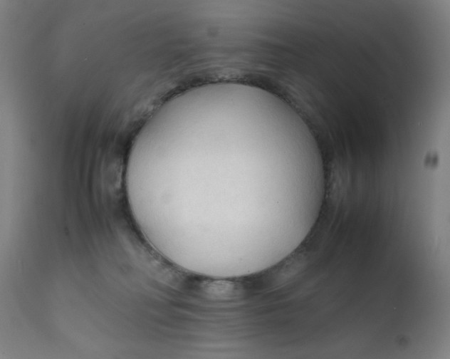 X0000112150230200909041111