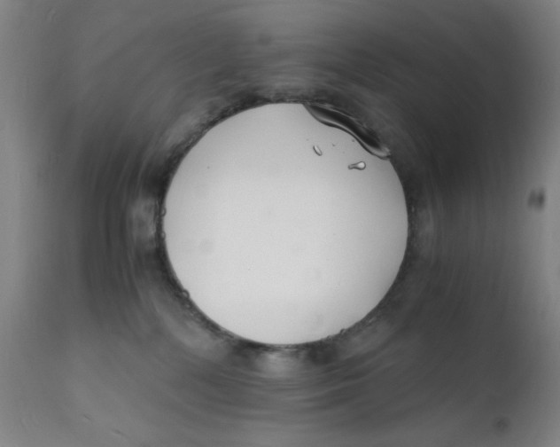 X0000112150232200909041111